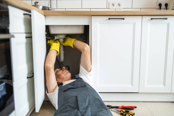 Best Local Plumber Services  in Sycamore, GA